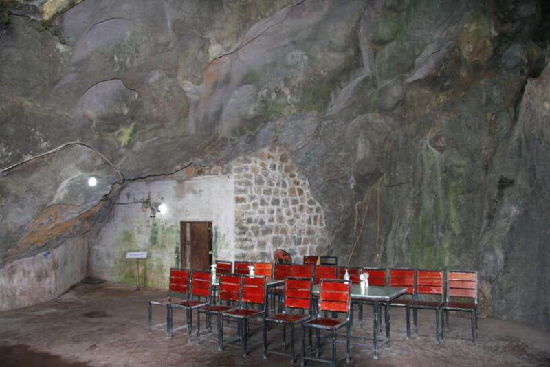 half-day-hiking-to-cat-ba-national-park-with-a-guide