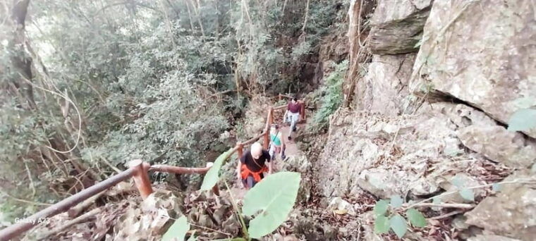 half-day-hiking-to-cat-ba-national-park-with-a-guide