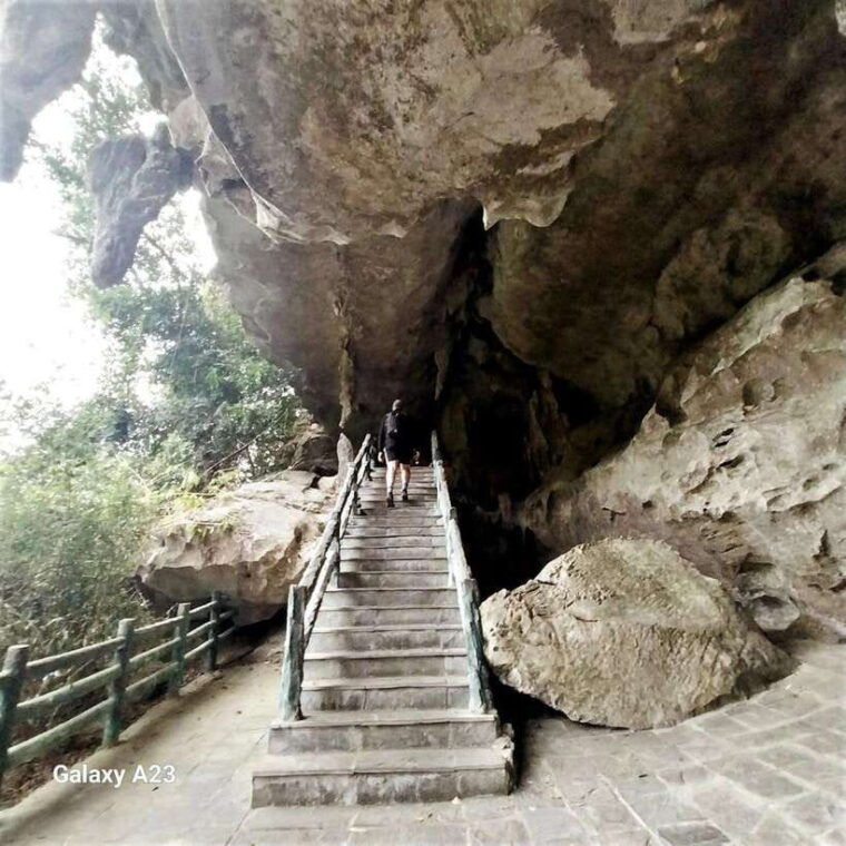 half-day-hiking-to-cat-ba-national-park-with-a-guide