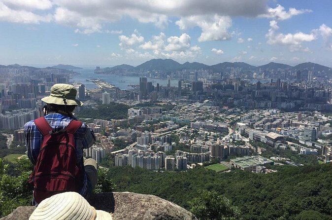 Half-day Hiking Tour in The Green to Lion Rock in Hong Kong - Things to Keep in Mind