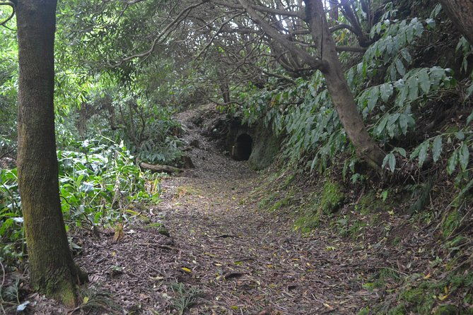 half-day-hiking-tour-janela-do-inferno-and-lagoa-do-fogo