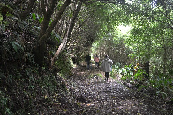 half-day-hiking-tour-janela-do-inferno-and-lagoa-do-fogo