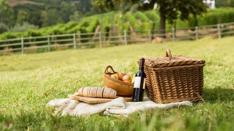 half-day-hills-experience-to-san-gimignano-with-pic-nic-wine