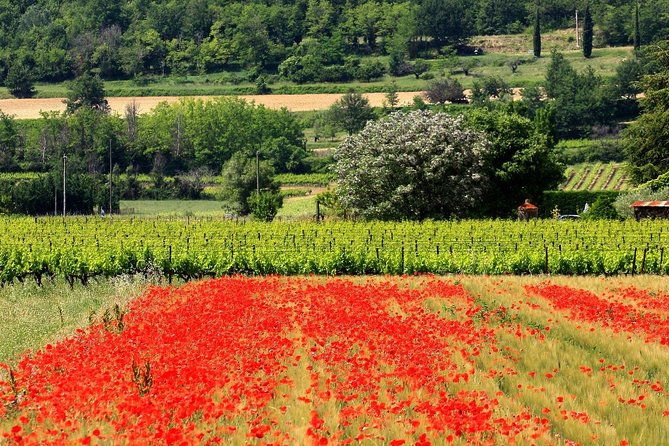 half-day-hilltop-villages-of-luberon-tour-from-avignon