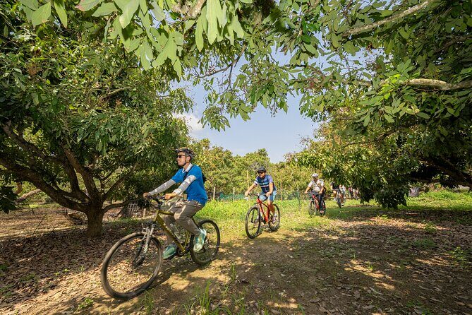 Half Day Historical and Cultural Experience Bicycle Tour - Exploring Chiang Mai on a Half-Day Bicycle Tour: An Authentic Cultural Journey