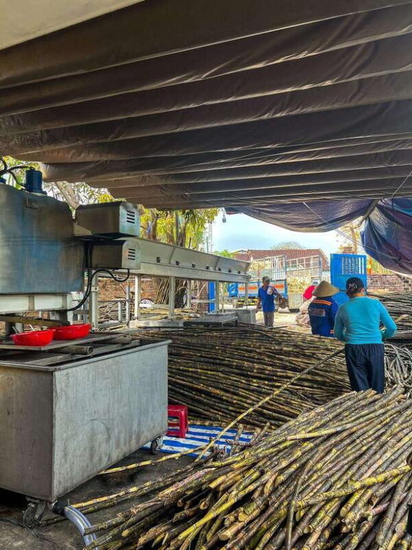 Half-day Hoi An Scenic River Cruise And Village Exploration - The Sum Up