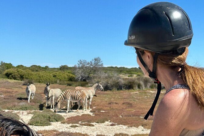 Half day Horse back safari - FAQ