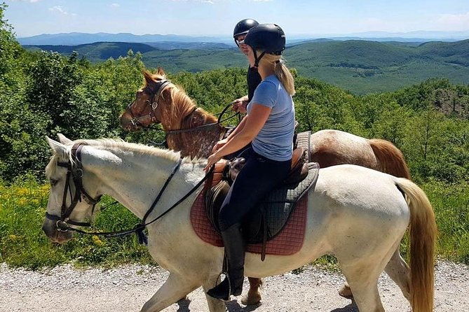 half-day-horseback-ride-in-tuscany-for-beginner-riders