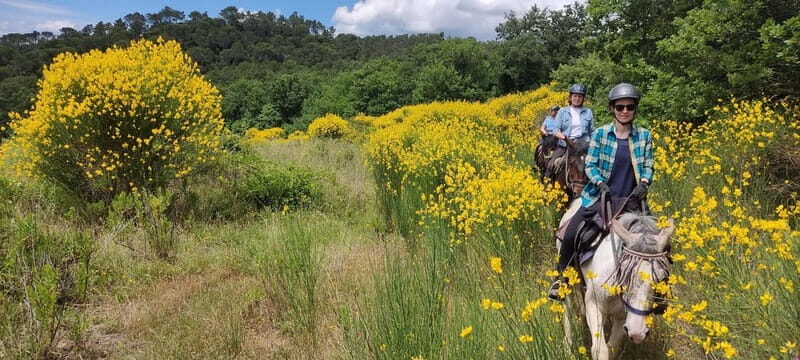 Half-day horseback riding day trip in Tuscany for beginners - Key Points