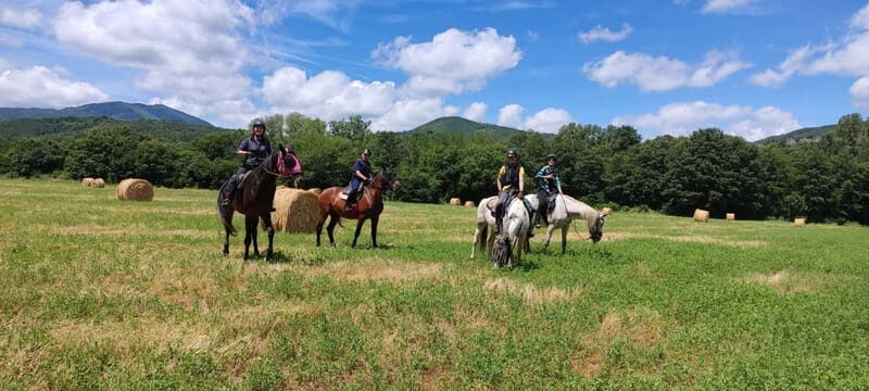 Half-day horseback riding day trip in Tuscany for beginners - Practical Details and Value