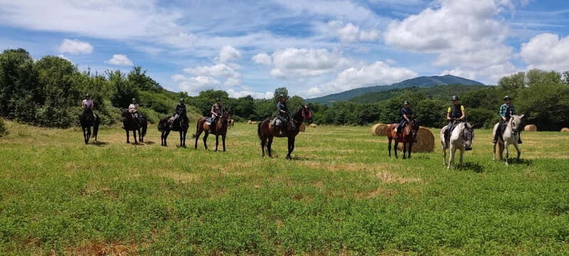 Half-day horseback riding day trip in Tuscany - Exploring the Tuscany Hills on Horseback: A Detailed Review of the Half-Day Riding Experience