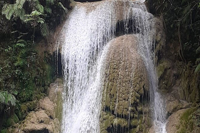 half-day-horseback-riding-tour-in-el-limon