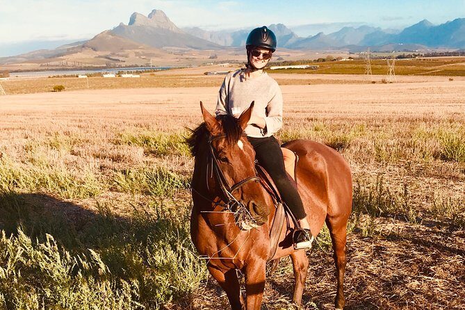 Half Day Horseback Wine Tour - The Itinerary Breakdown: What to Expect