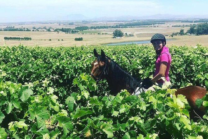Half Day Horseback Wine Tour - Included and Not Included