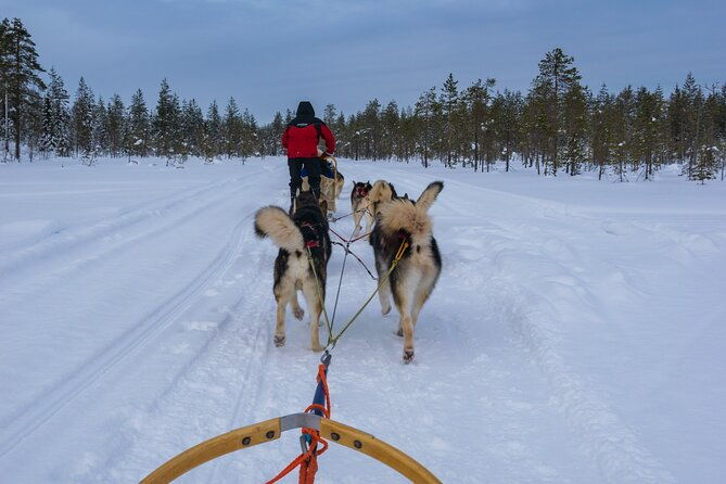 half-day-husky-safari-and-salmon-ice-fishing-experience