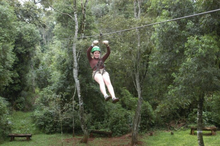 half-day-iguazu-forest-adventure