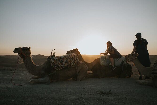 Half day in Agafay desert with Camel ride, Quad biking and dinner nomad tent - Key Points