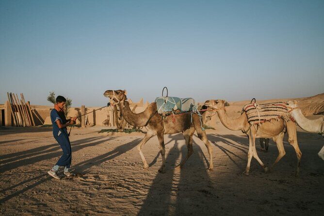 Half day in Agafay desert with Camel ride, Quad biking and dinner nomad tent - Final Thoughts
