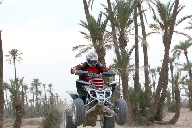 Half Day In Marrakech Desert Tour: Quad and Camel Ride - Final Thoughts