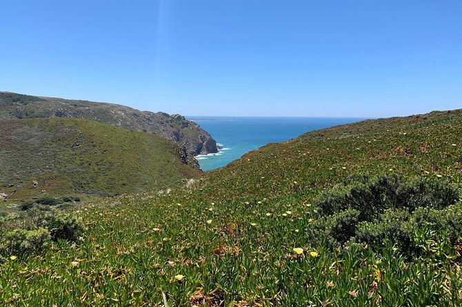 half-day-in-sintra-and-cabo-da-roca-with-wine-tasting