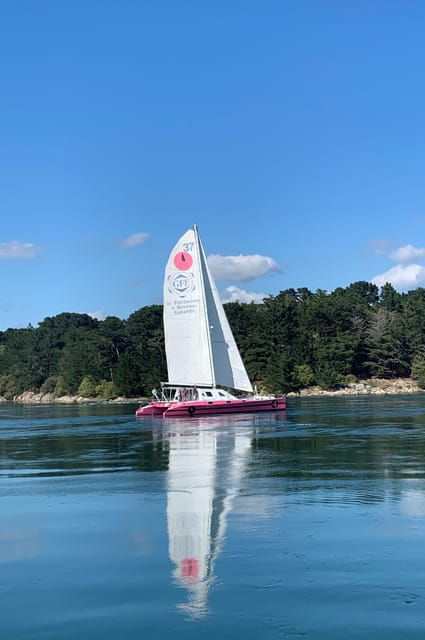 half-day-in-the-bay-of-concarneau