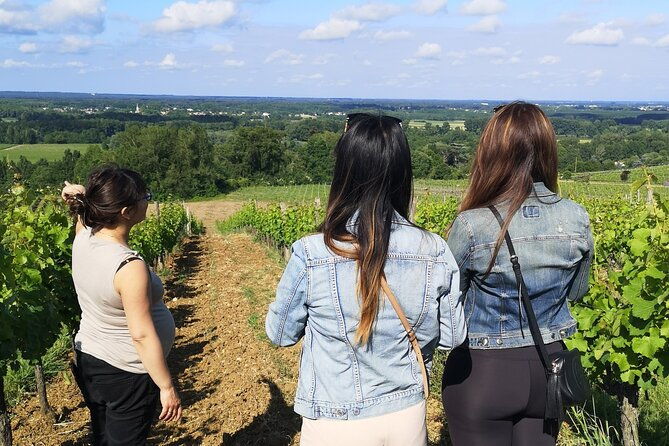 half-day-in-the-bordeaux-vineyard-and-wine-tastings