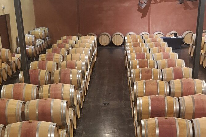 half-day-in-the-medoc-2-wineries-6-wines