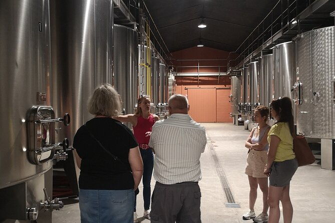 half-day-in-the-medoc-2-wineries-6-wines