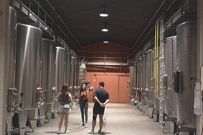 half-day-in-the-medoc-2-wineries-6-wines