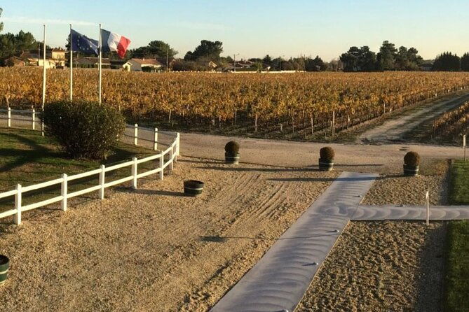 half-day-in-the-medoc-2-wineries-6-wines