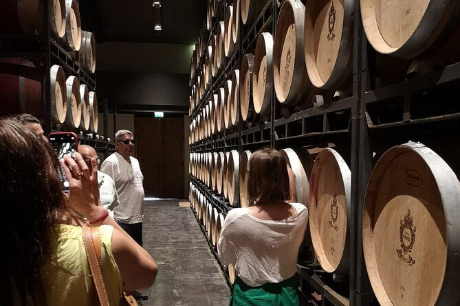 half-day-in-the-medoc-2-wineries-6-wines