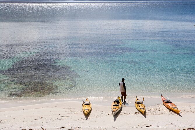 Half-Day Jervis Bay Sea Kayak Tour - Key Points