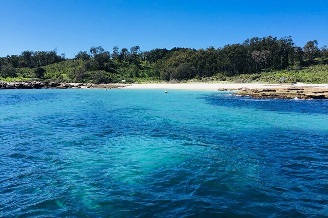 Half-Day Jervis Bay Sea Kayak Tour - What to Expect on the Day