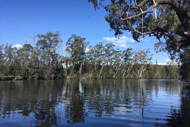 Half-Day Jervis Bay Sea Kayak Tour - Authentic Experiences Based on Review Insights