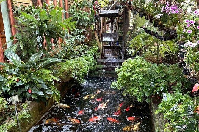 Half Day Join Tour Chiang Rai Pick Up Only In Chiang Rai - FAQ