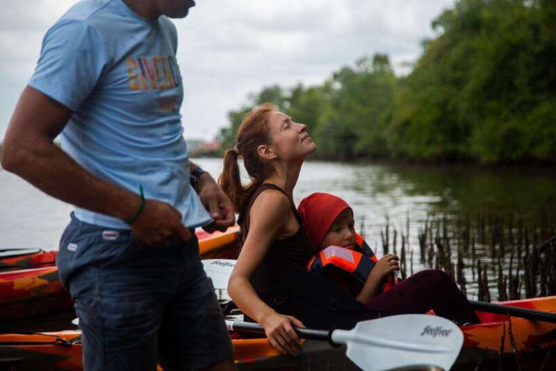 half-day-kayak-guided-tour-to-the-green-mangroves-forest