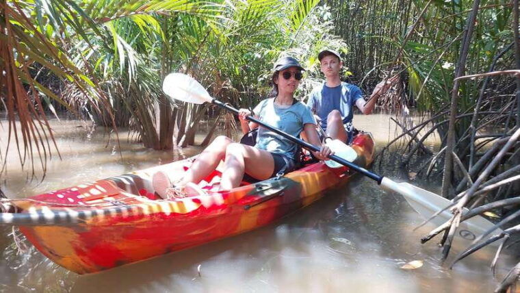 half-day-kayak-guided-tour-to-the-green-mangroves-forest