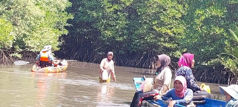 half-day-kayak-guided-tour-to-the-green-mangroves-forest