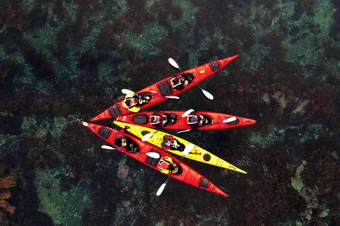 Half Day Kayak - Northern Explores AS - Key Points  