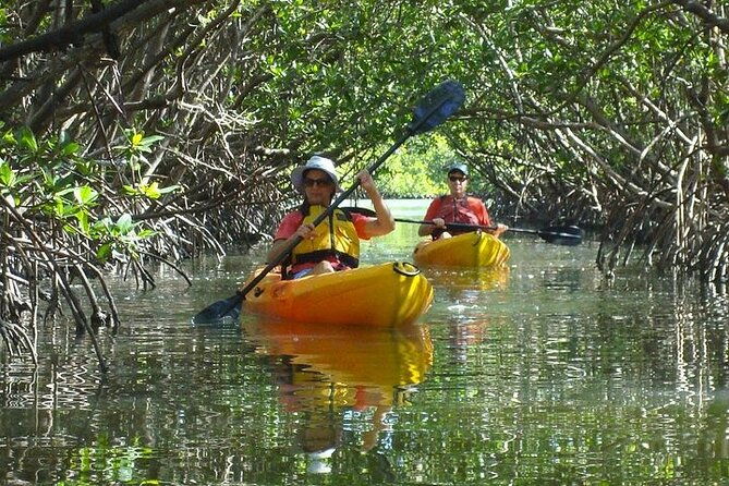 half-day-kayak-or-sup-rental-3hr-bunche-beach-2
