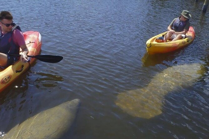 half-day-kayak-or-sup-rental-3hr-bunche-beach-2