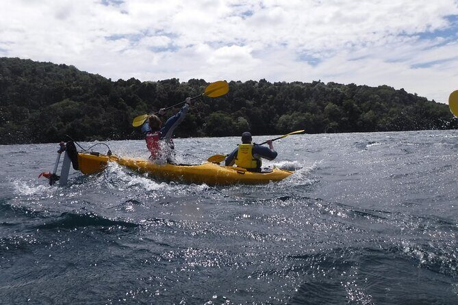 Half-Day Kayak to the Maori Rock Carvings in Lake Taupo - Exploring the Adventure: A Detailed Look
