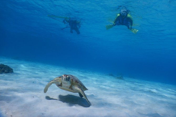 half-day-kayak-tour-on-the-kerama-islands-and-zamami-island
