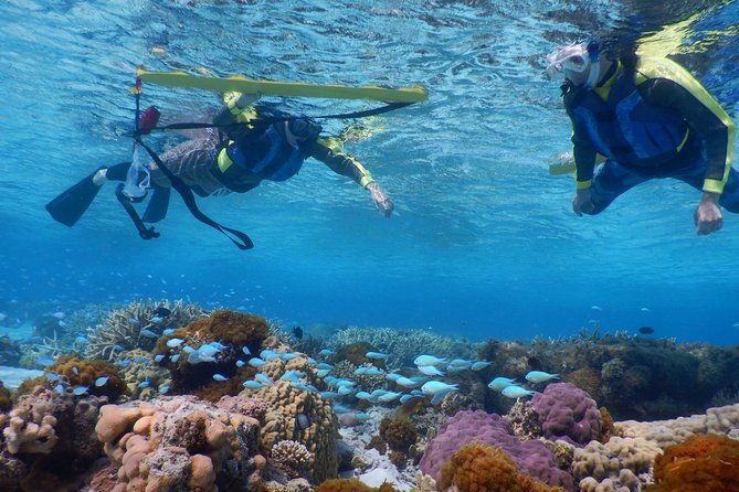 half-day-kayak-tour-on-the-kerama-islands-and-zamami-island