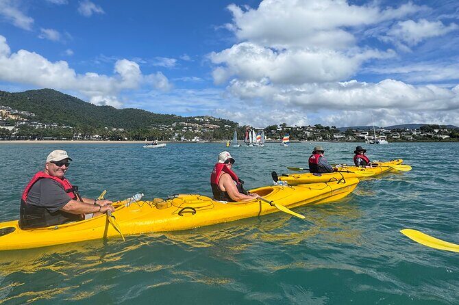 Half Day Kayak Turtle Tour - What to Expect from the Itinerary