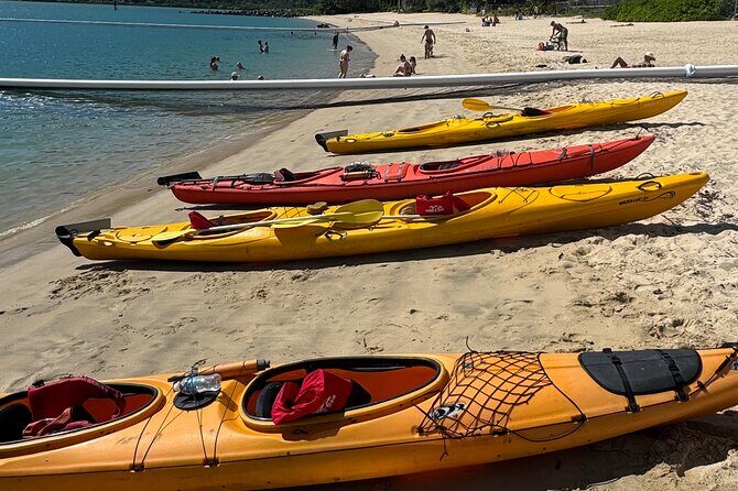 Half Day Kayak Turtle Tour - Who Would Enjoy This Tour?
