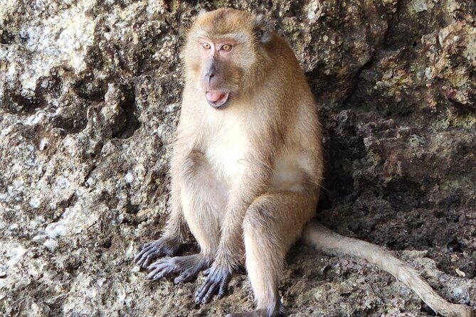 Half Day Kayaking Experience In Ao Thalane - FAQ