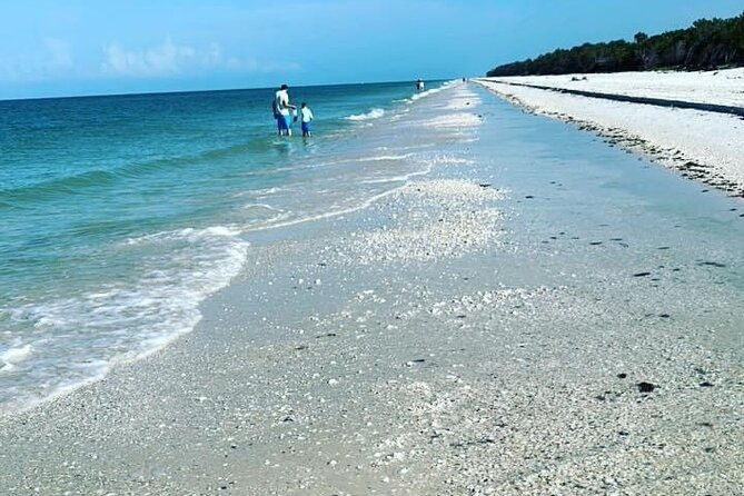 half-day-keewaydin-shelling-and-beach-adventure-private