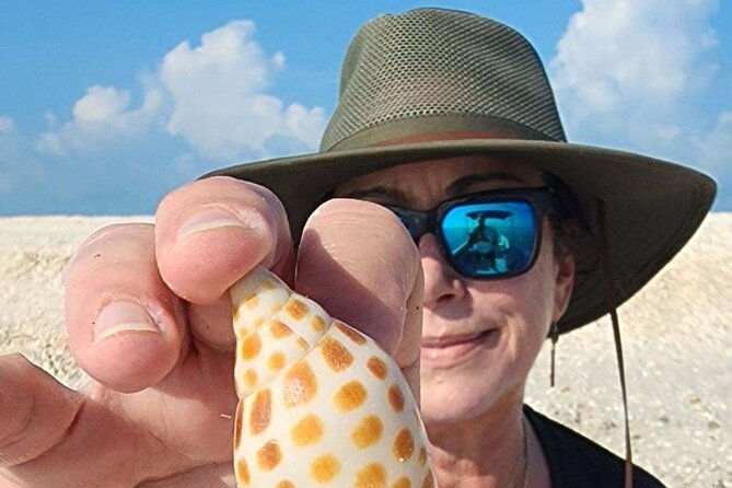 half-day-keewaydin-shelling-and-beach-adventure-private