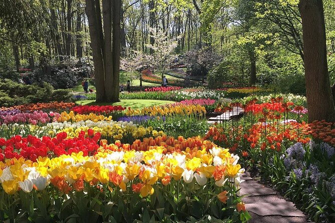 half-day-keukenhof-tulip-paradise-trip-from-amsterdam